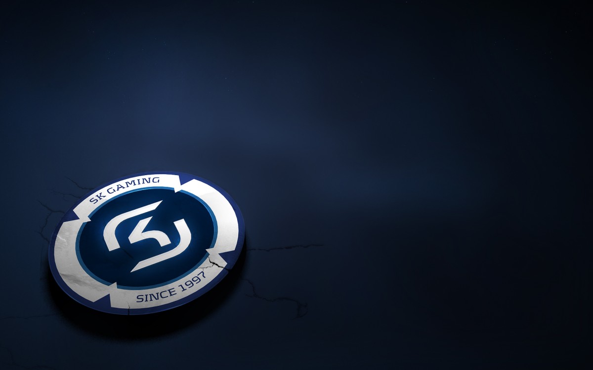 Image - Sk Gaming Banner , HD Wallpaper & Backgrounds