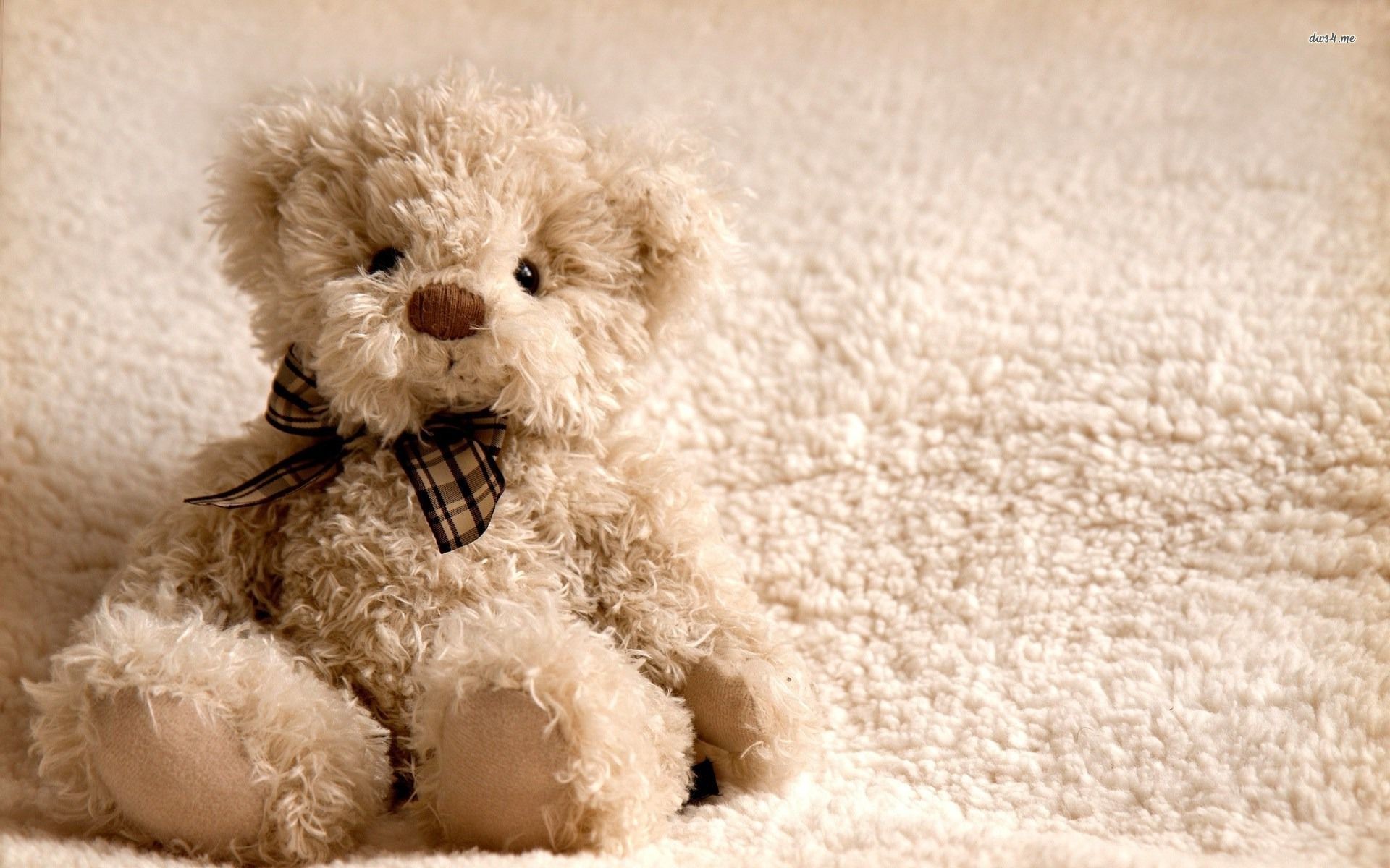 Cute Teddy Bear Wallpapers - Teddy Bear With Background , HD Wallpaper & Backgrounds