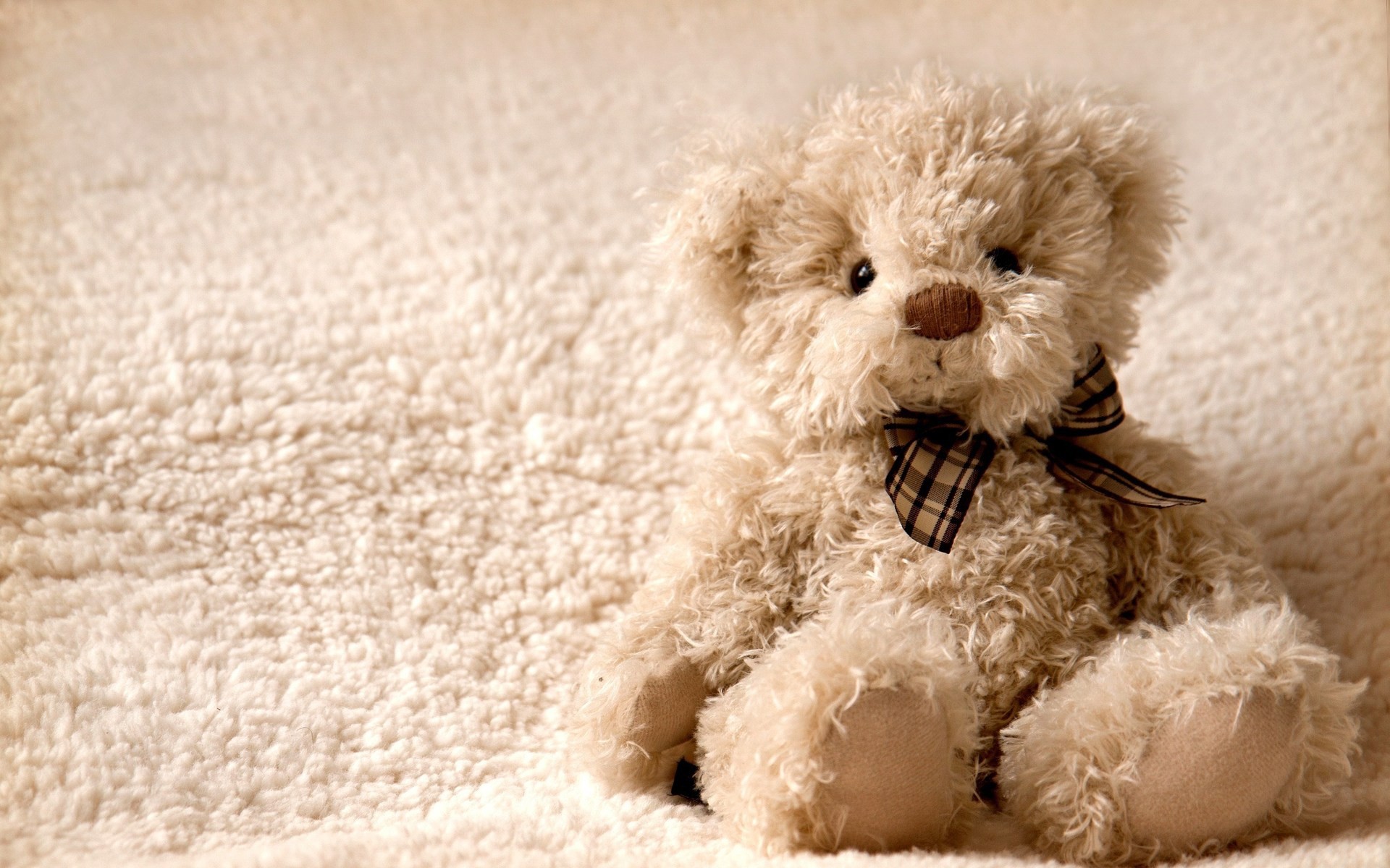 Teddy Bear Wallpaper - Teddy Bear Cute Quotes , HD Wallpaper & Backgrounds