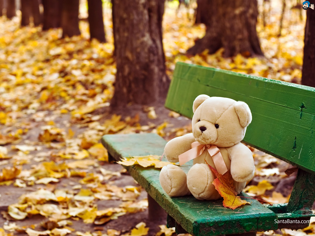 Teddy Bears - Romantic Teddy Bear Couple , HD Wallpaper & Backgrounds