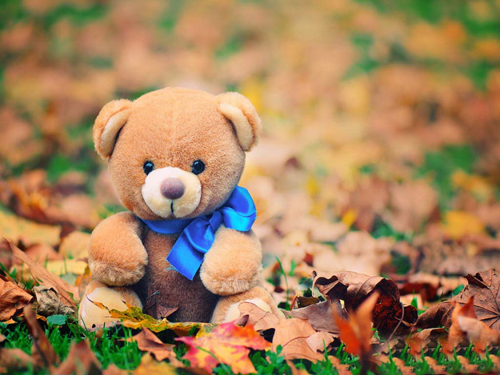 Teddy Bear Wallpaper Hd - Cute Teddy Bear Hd , HD Wallpaper & Backgrounds