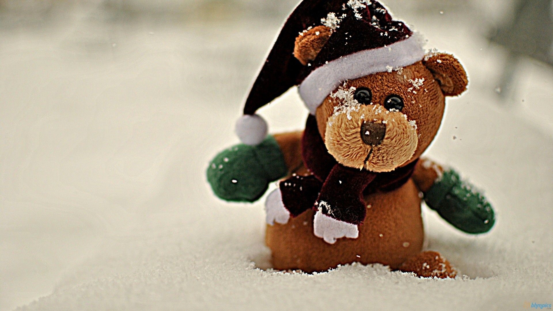 Teddy Bear Wallpapers For Android - Happy Teddy Day 2019 , HD Wallpaper & Backgrounds