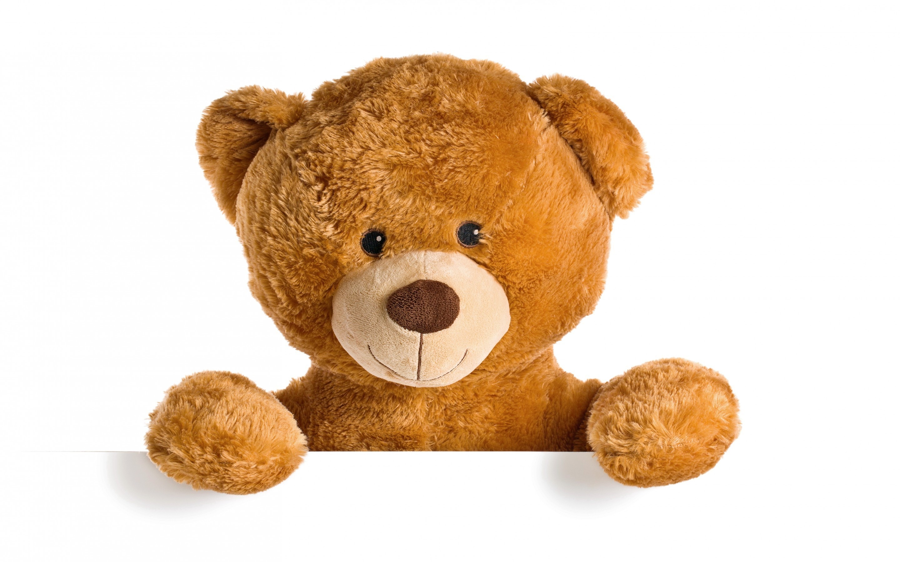 Cute Teddy Bear Wallpapers Cute Teddy Bear Wallpaper - Teddy Bear Background Hd , HD Wallpaper & Backgrounds