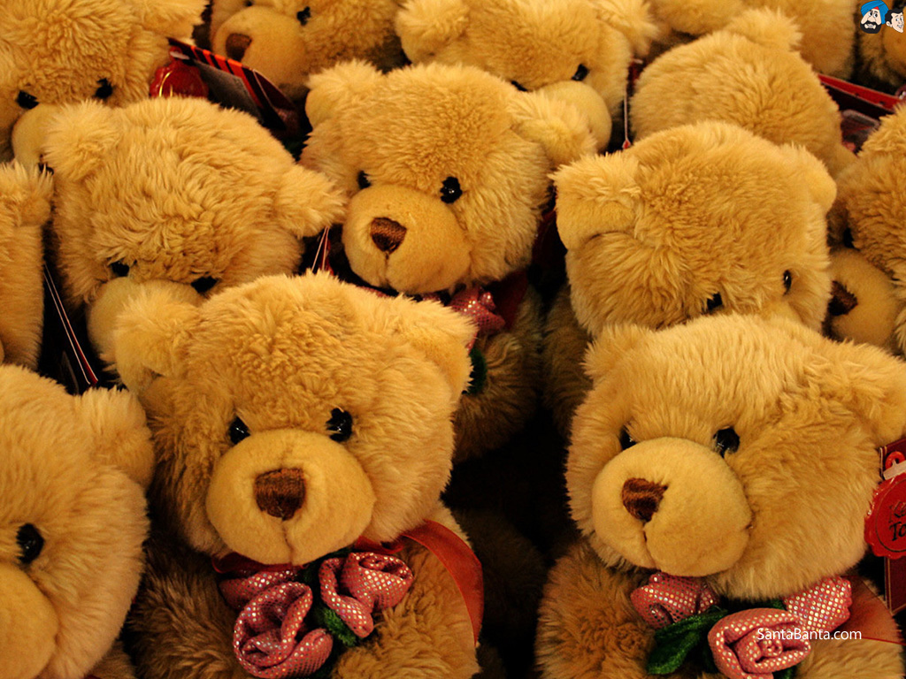 Teddy Bears - Bunch Of Teddy Bears , HD Wallpaper & Backgrounds