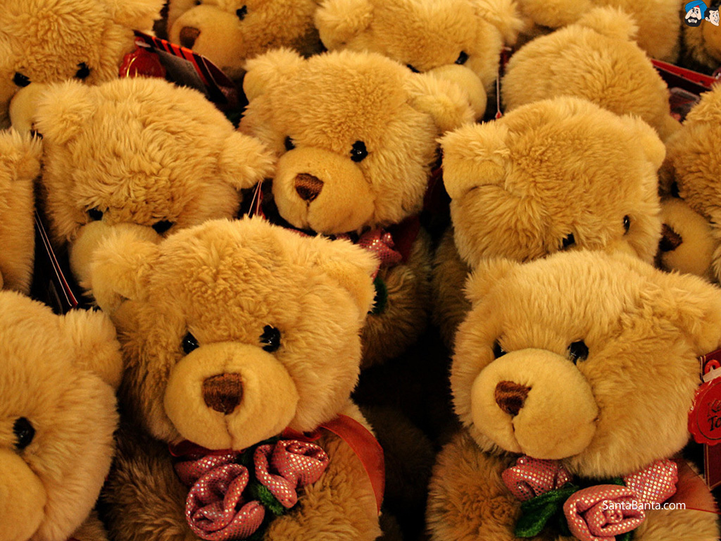 Featured image of post Teddy Bear Hd Wallpapers 1080P Download : Download teddy bears wallpapers 2560x1600.