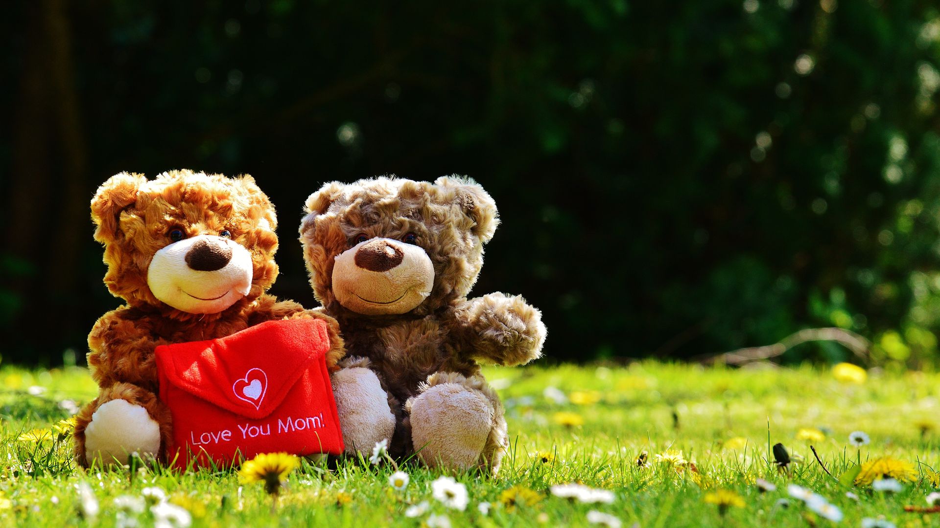 love teddy bear images hd