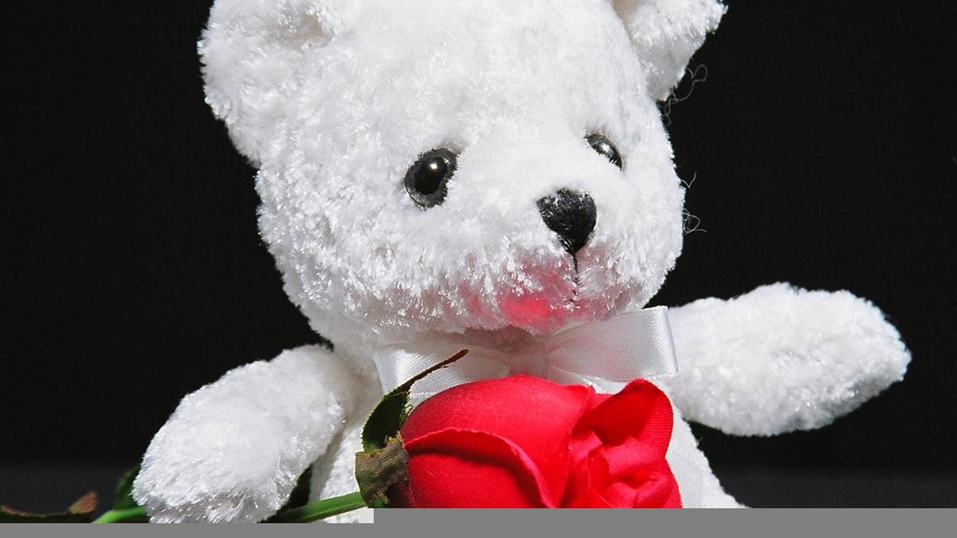Start Download - Teddy Bears Wallpapers Flowers , HD Wallpaper & Backgrounds