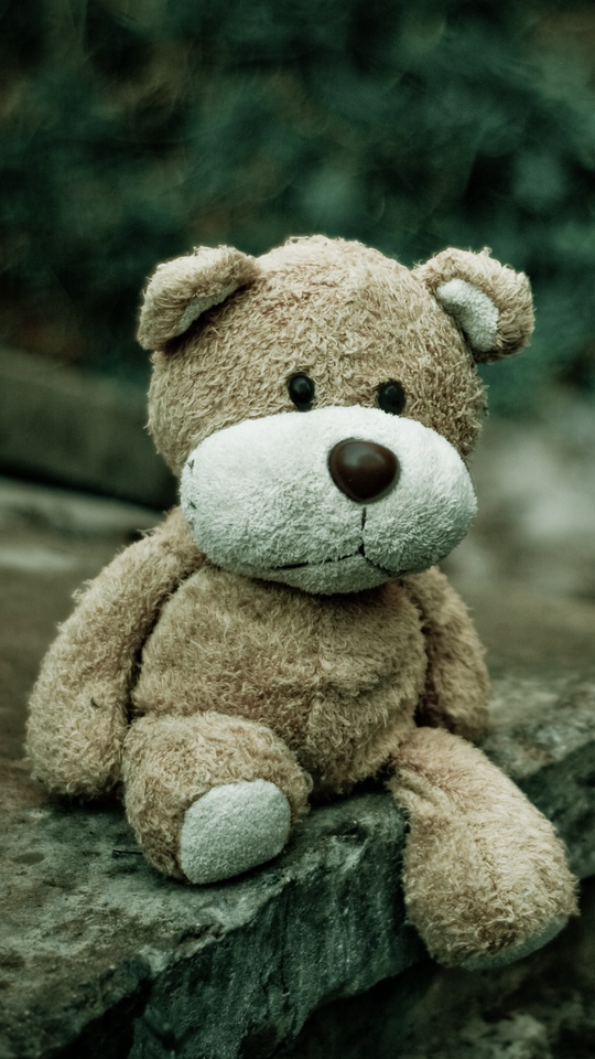 Wallpaper Soft Toy, Teddy Bear, Bear - Teddy Bear Wallpaper Iphone Hd , HD Wallpaper & Backgrounds