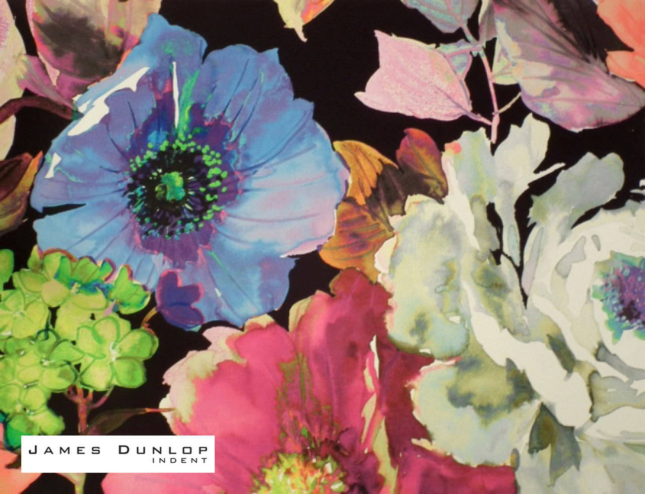 James Dunlop Indent - Ceusa Dinda , HD Wallpaper & Backgrounds