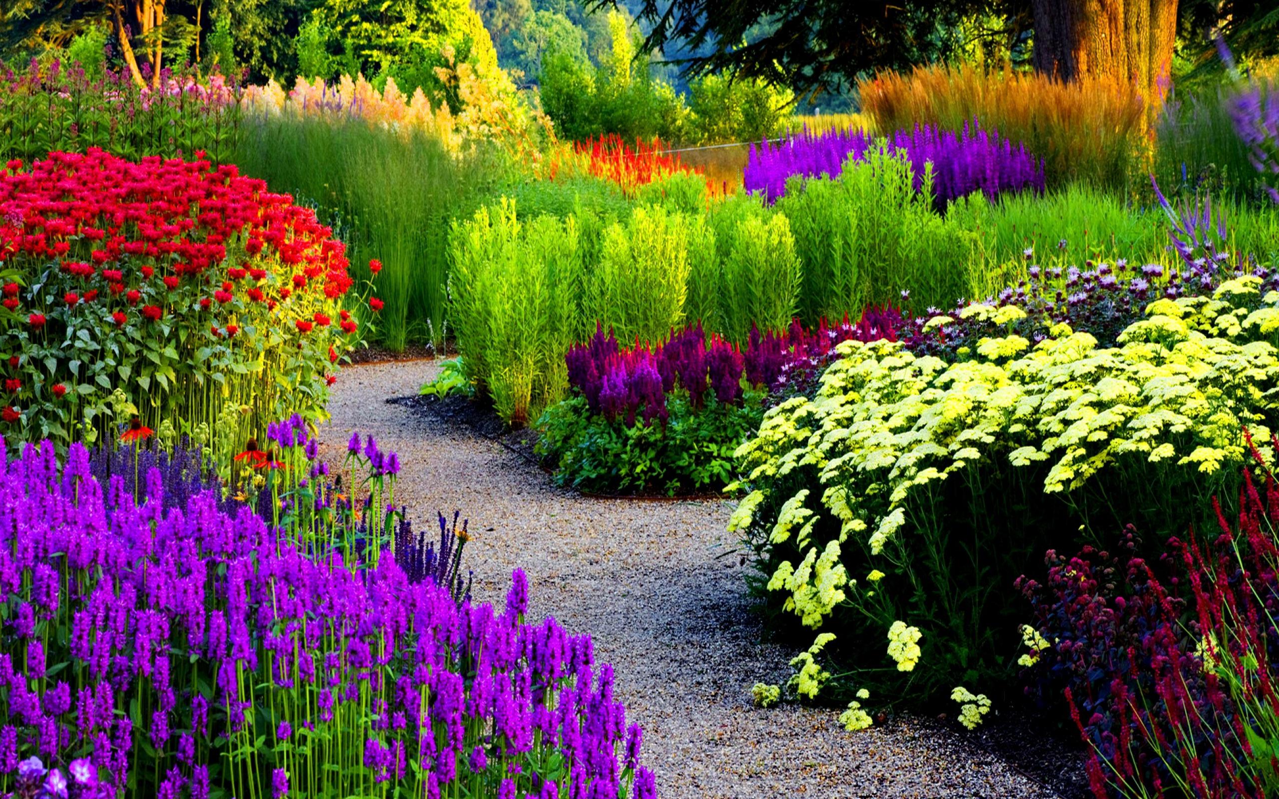 Best 53 Garden Backgrounds For Computers On Hipwallpaper - Most Beautiful Flower Garden , HD Wallpaper & Backgrounds