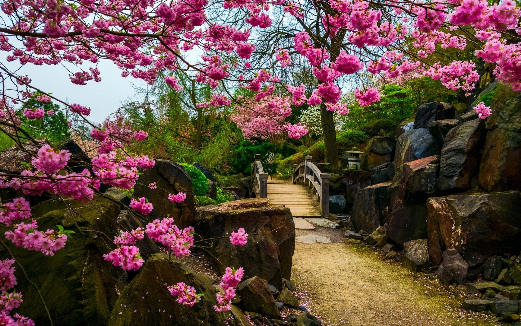 Fantasy Garden Wallpaper Hd Download Of Beautiful Garden - Japanese Garden Wallpaper Hd , HD Wallpaper & Backgrounds