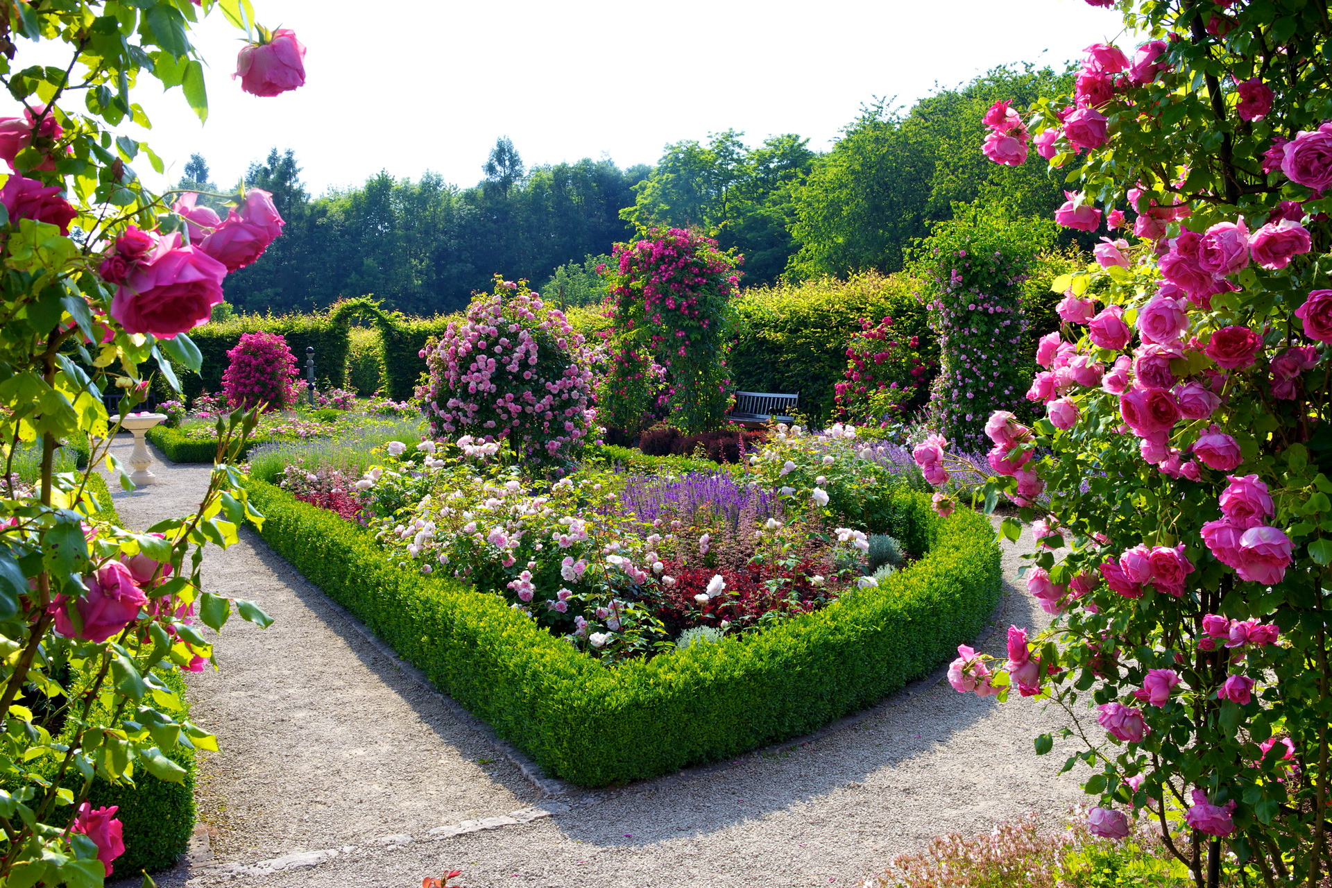 Flower Garden Wallpaper - Beautiful Nature Flowers Garden Hd , HD Wallpaper & Backgrounds