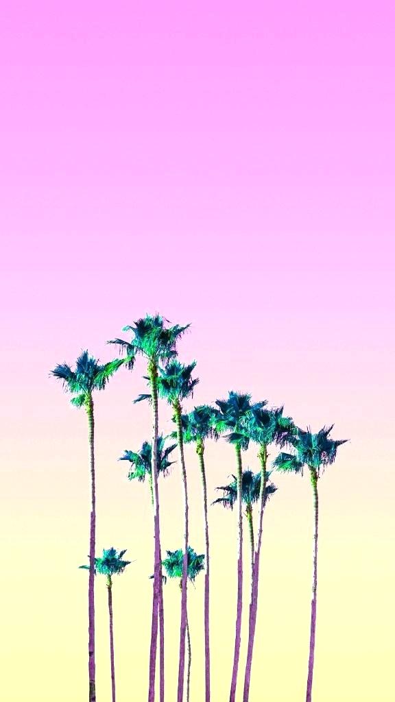 Pink Palm Tree Wallpaper Pink Palm Tree Wallpaper Palm - Palm Tree , HD Wallpaper & Backgrounds