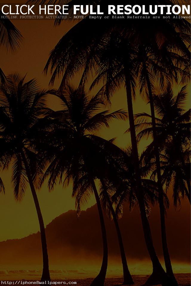 Palm Trees At Beach Iphone 7 Wallpaper - Warren Street Tube Station , HD Wallpaper & Backgrounds