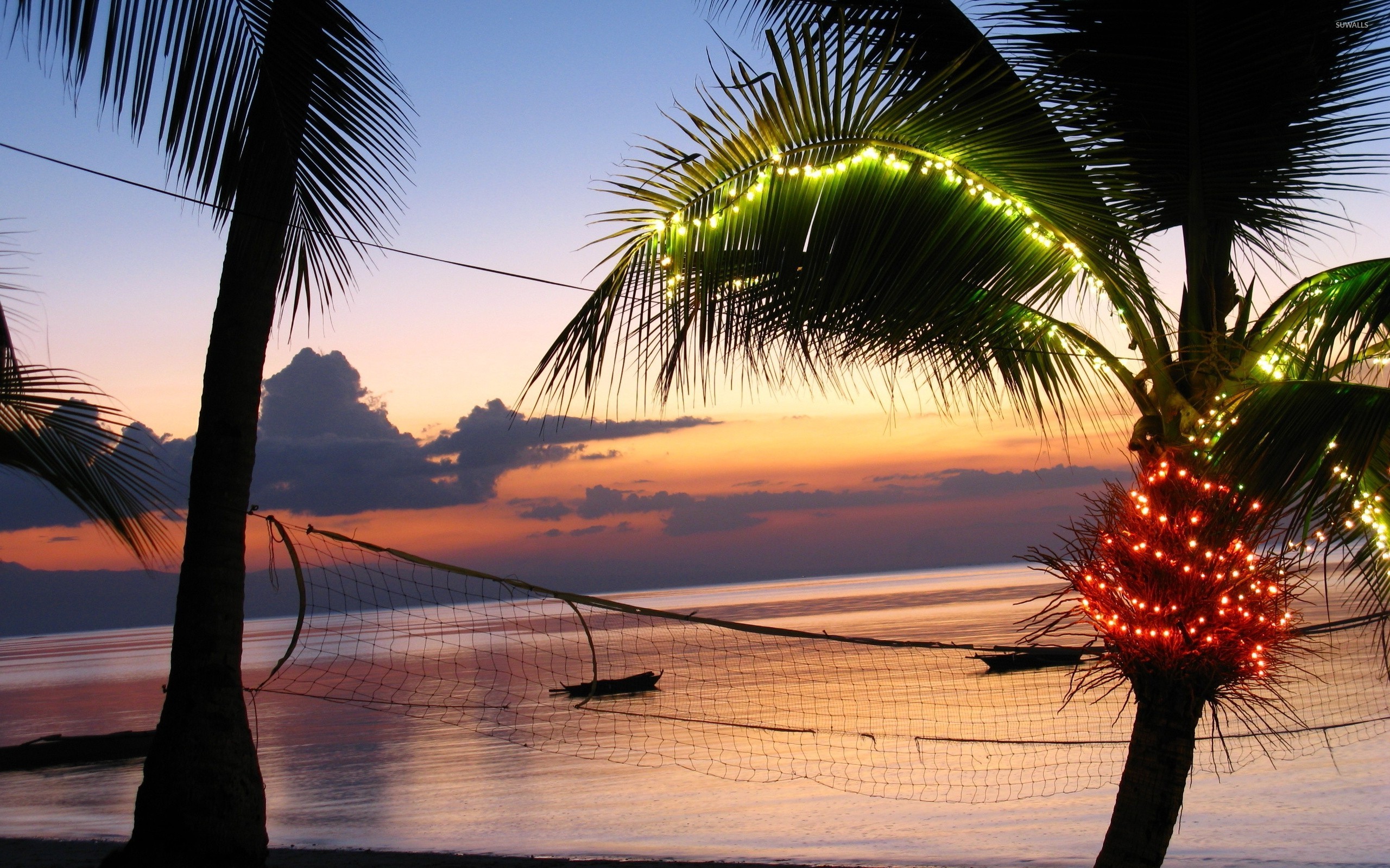 Light In A Palm Tree At Sunset Wallpaper - Sun Set Light On Palm Trees , HD Wallpaper & Backgrounds