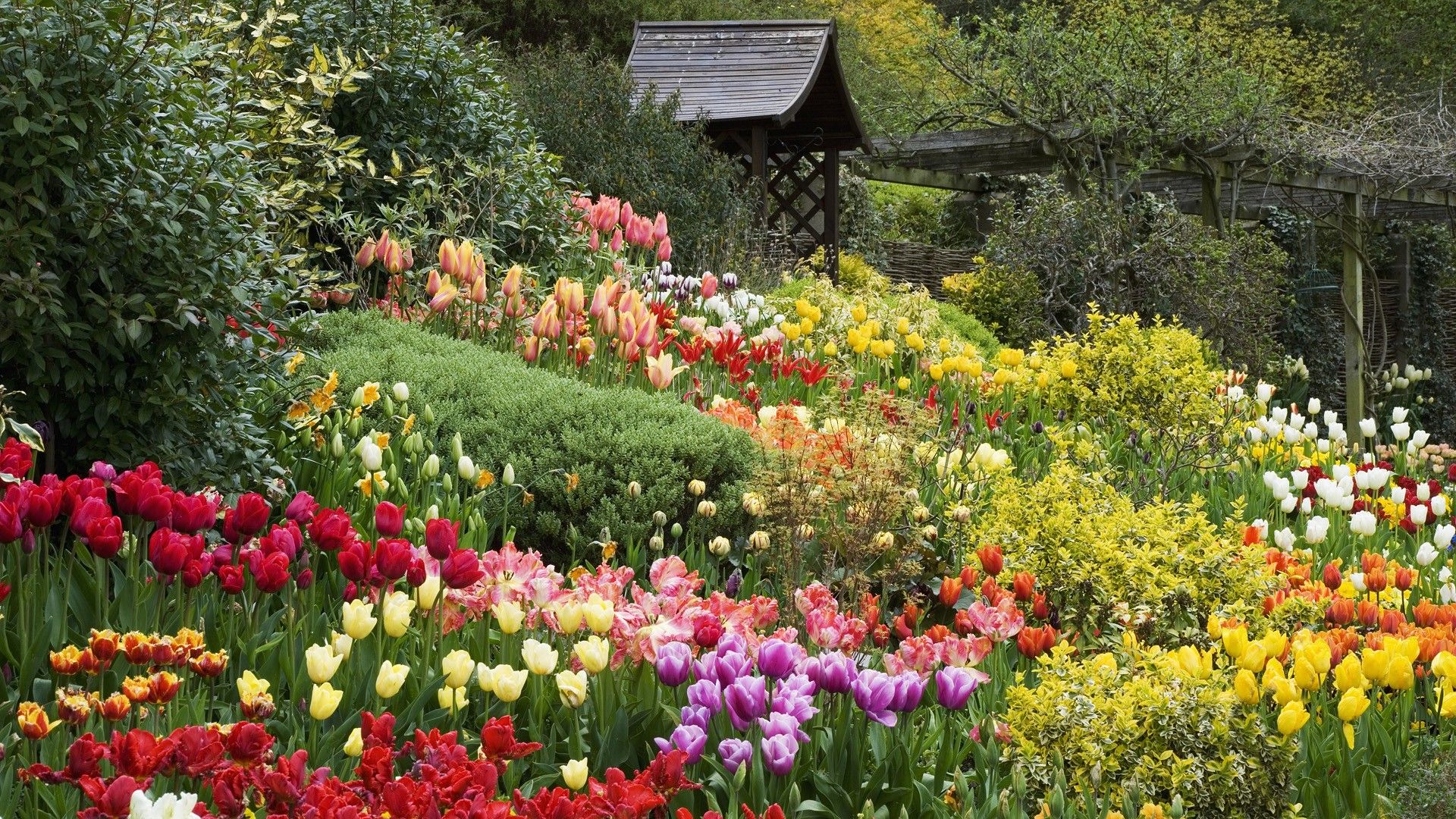 English Garden Wallpaper Collection > - English Garden Spring Flowers , HD Wallpaper & Backgrounds