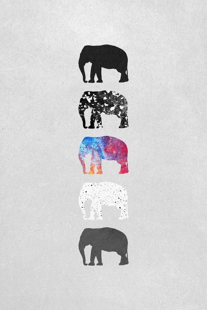 Elephant, Wallpaper, And Background Image - Elephant Wallpaper Art Iphone , HD Wallpaper & Backgrounds
