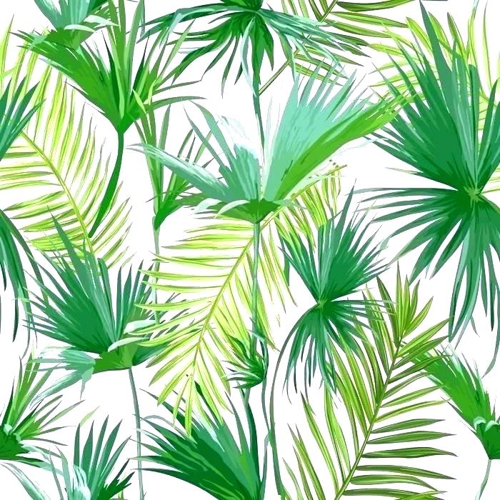 Palm Leaf Wallpaper Palm Tree Wallpaper Palm Tree Leaves - Hojas De Palmeras Cuadros , HD Wallpaper & Backgrounds