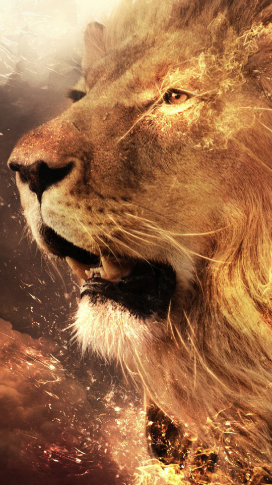 Lion, Big Cats, Lions Roar, Savanna, Roar Wallpaper - Best Background Lion , HD Wallpaper & Backgrounds