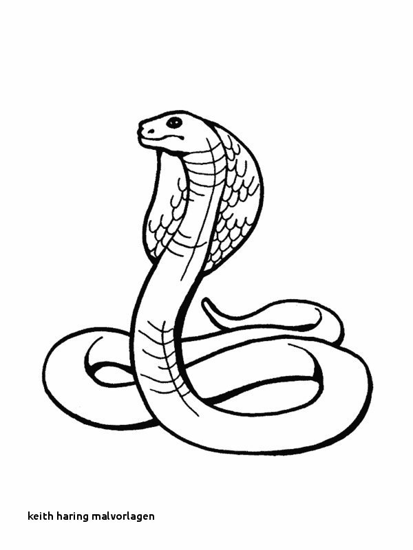 Keith Haring Malvorlagen Keith Haring Ausmalbilder - King Cobra Coloring Page , HD Wallpaper & Backgrounds