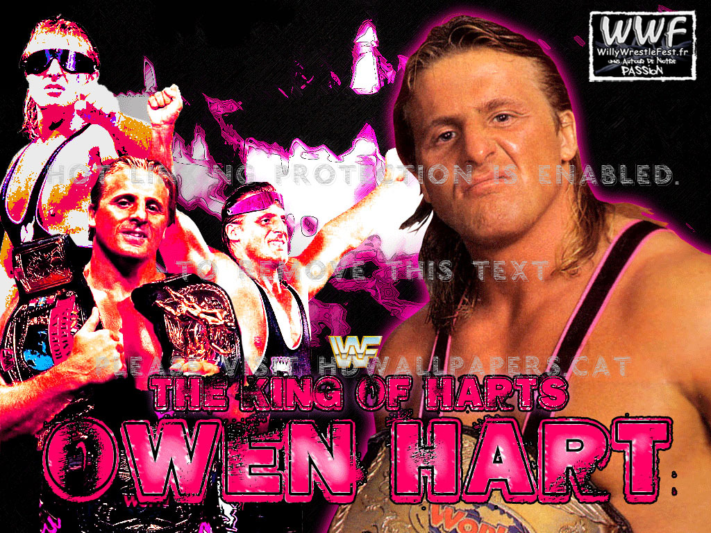 'the King Of Hearts' Owen Hart Blazer Wcw - Owen Hart , HD Wallpaper & Backgrounds