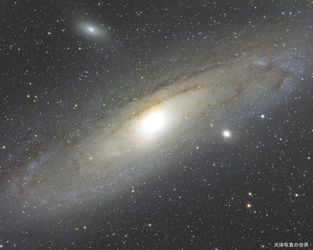 Digital Astrophotography - Andromeda Galaxy Astrophotography , HD Wallpaper & Backgrounds