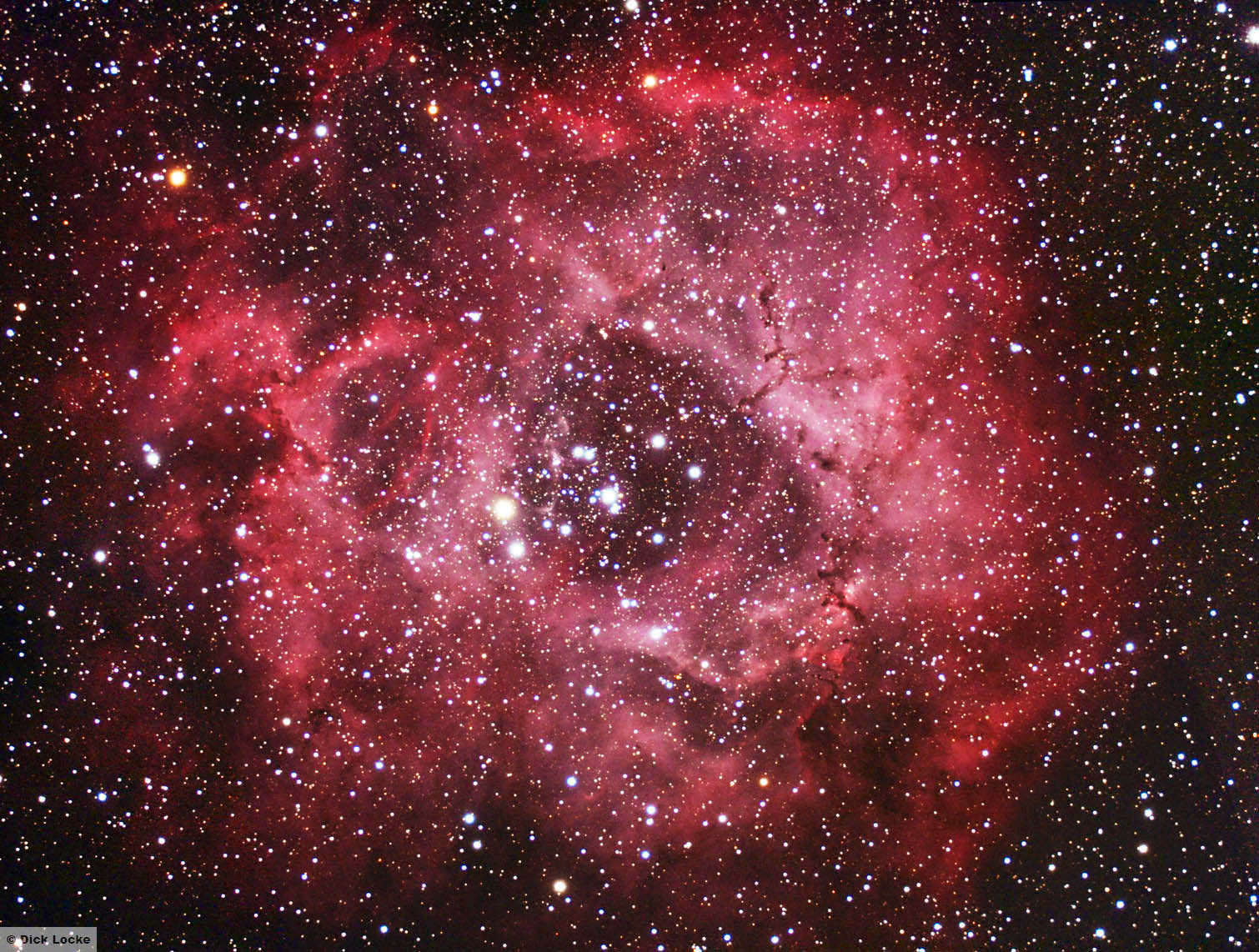 Rosette Nebula Picture - Rose Nebula , HD Wallpaper & Backgrounds