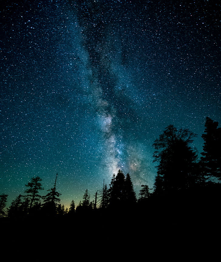 Galaxy Quest, Silhouette Of Forest Under Milky Way - Milky Way , HD Wallpaper & Backgrounds