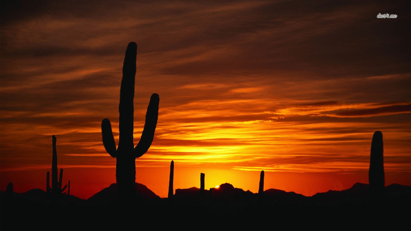 How To Download - Desert With Cactus Sunset , HD Wallpaper & Backgrounds