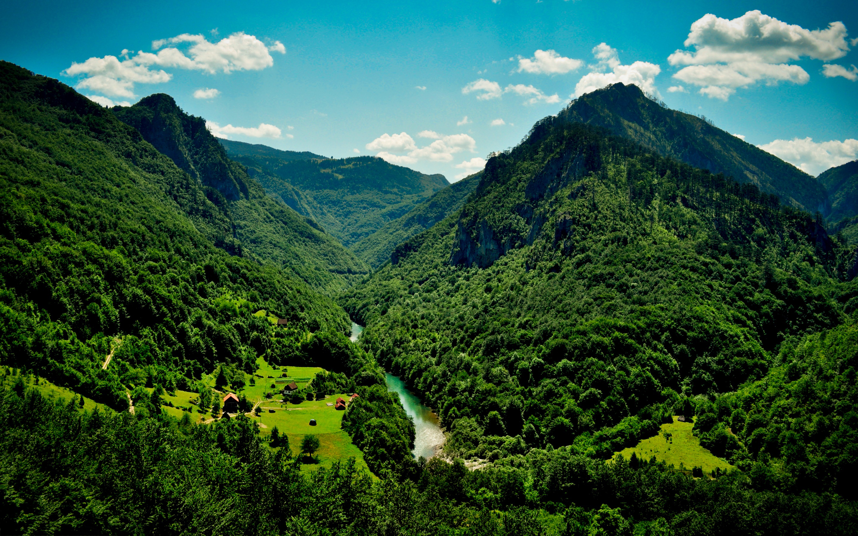 Landscape Montenegro - Green Forest Water Iphone , HD Wallpaper & Backgrounds