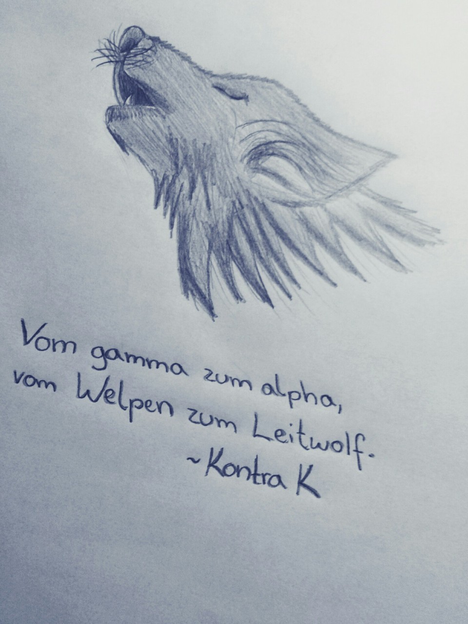 110 Images About Kontra K On We Heart It - Kontra K Wölfe Zitate , HD Wallpaper & Backgrounds