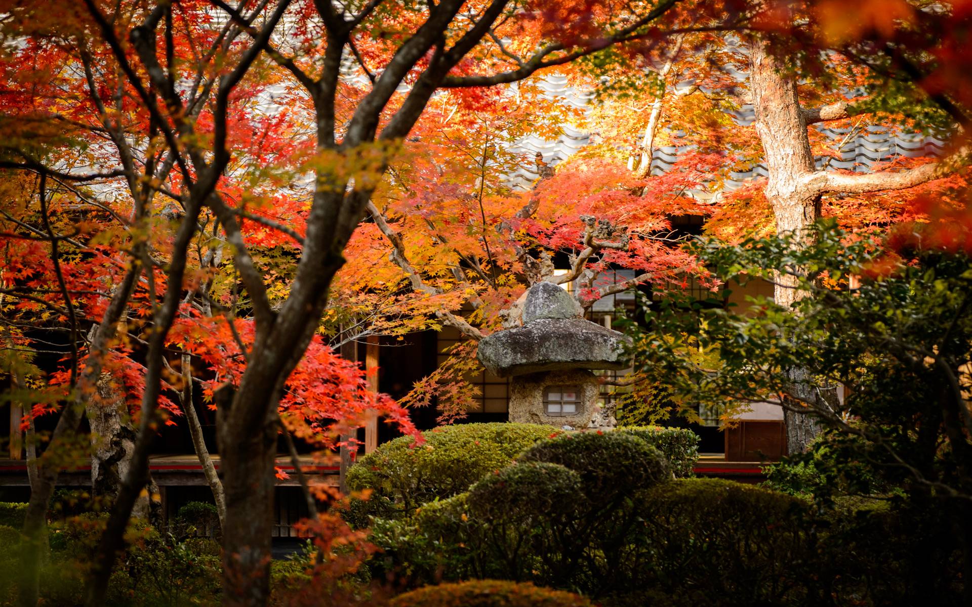 Temple Of North East Kyoto Wallpaper - Desktop Backgrounds Kyoto , HD Wallpaper & Backgrounds