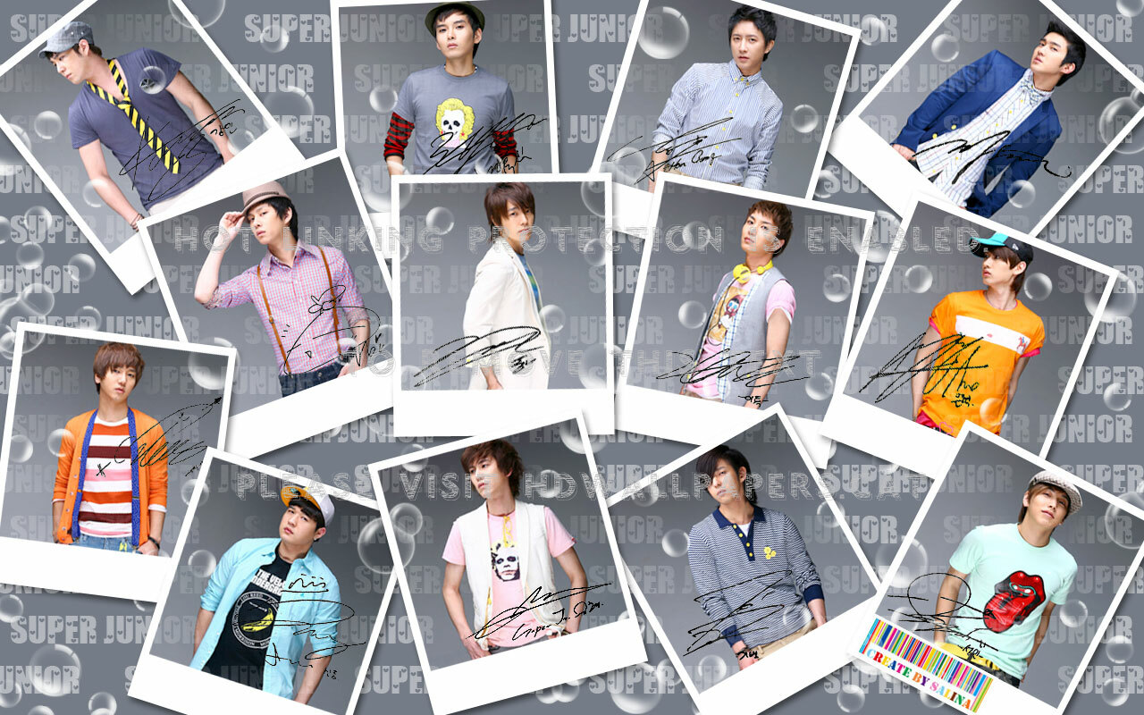 05 Super Junior , HD Wallpaper & Backgrounds