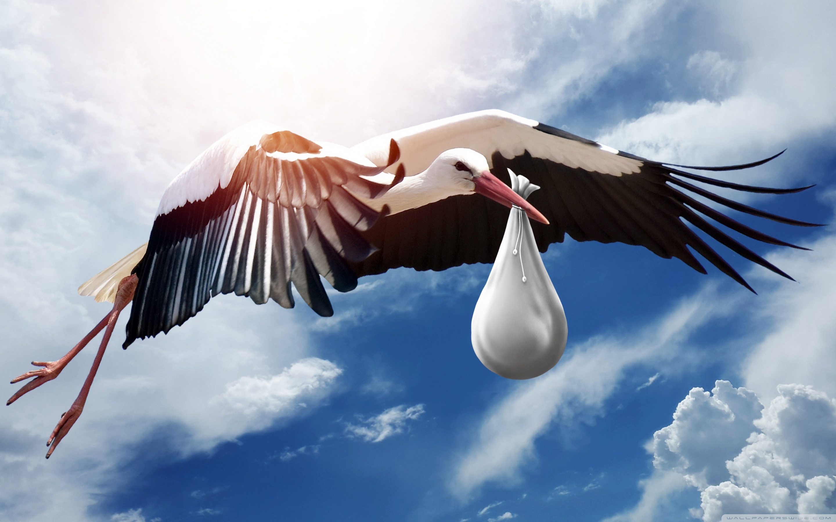 Wide 16 - - Stork Baby , HD Wallpaper & Backgrounds