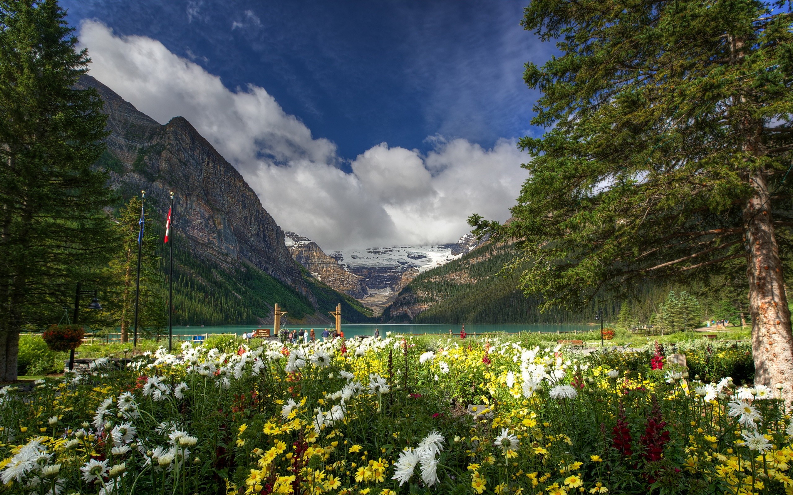 Lake Louise Banff National Park Wallpaper - Lake Louise , HD Wallpaper & Backgrounds