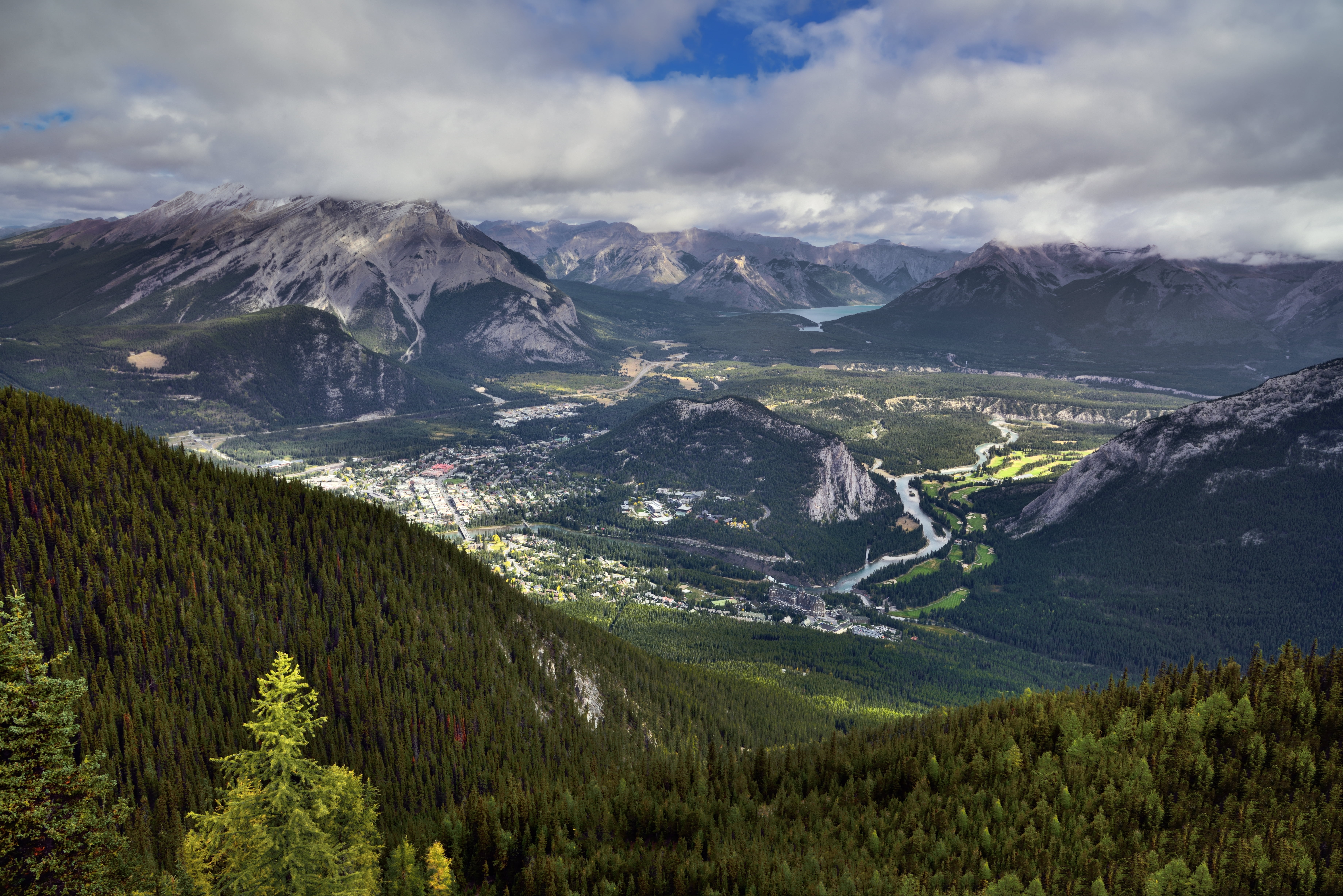 Gray Mountain Covered With Trees, Banff National Park , HD Wallpaper & Backgrounds