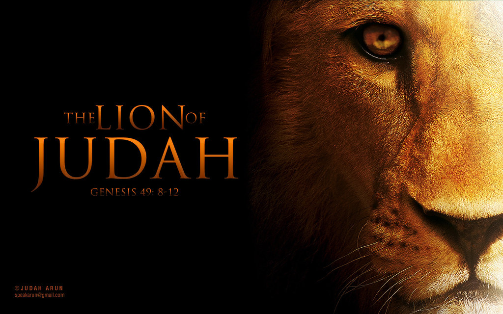 Lion Of Judah Tags - Lion Of Judah Hd , HD Wallpaper & Backgrounds