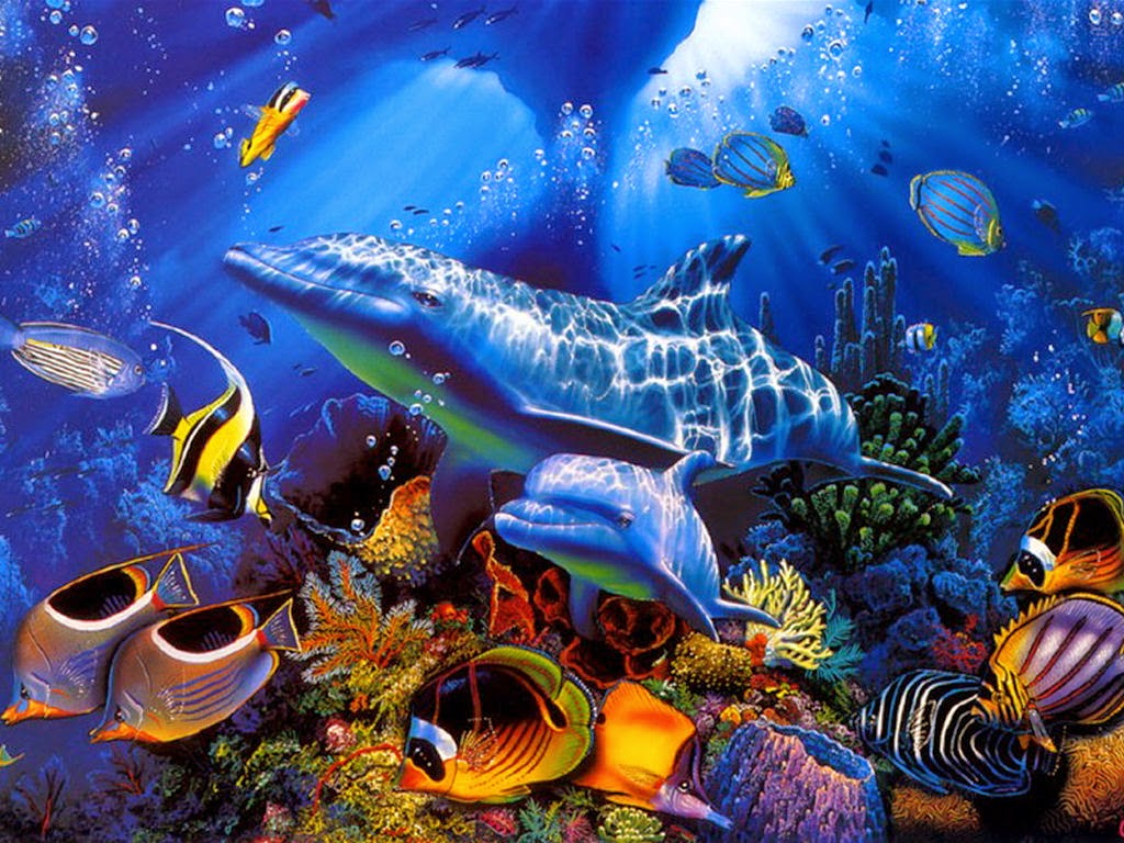 Fundo Do Mar - Animals Under The Sea Backgrounds , HD Wallpaper & Backgrounds