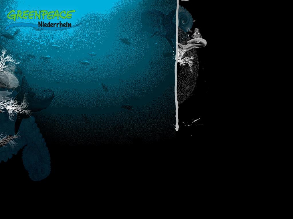 Fundo Do Mar Ilustrado Papel De Parede Wallpaper - Underwater , HD Wallpaper & Backgrounds