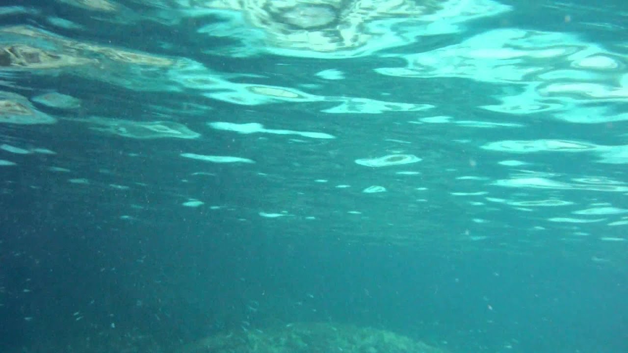 Fundo Do Mar Palma De Maiorca - Underwater , HD Wallpaper & Backgrounds