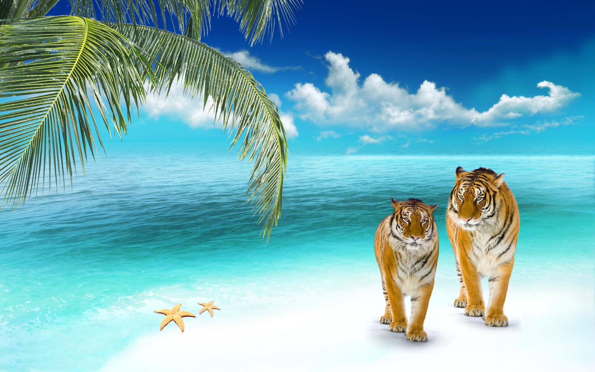 Tigers On The Beach , HD Wallpaper & Backgrounds