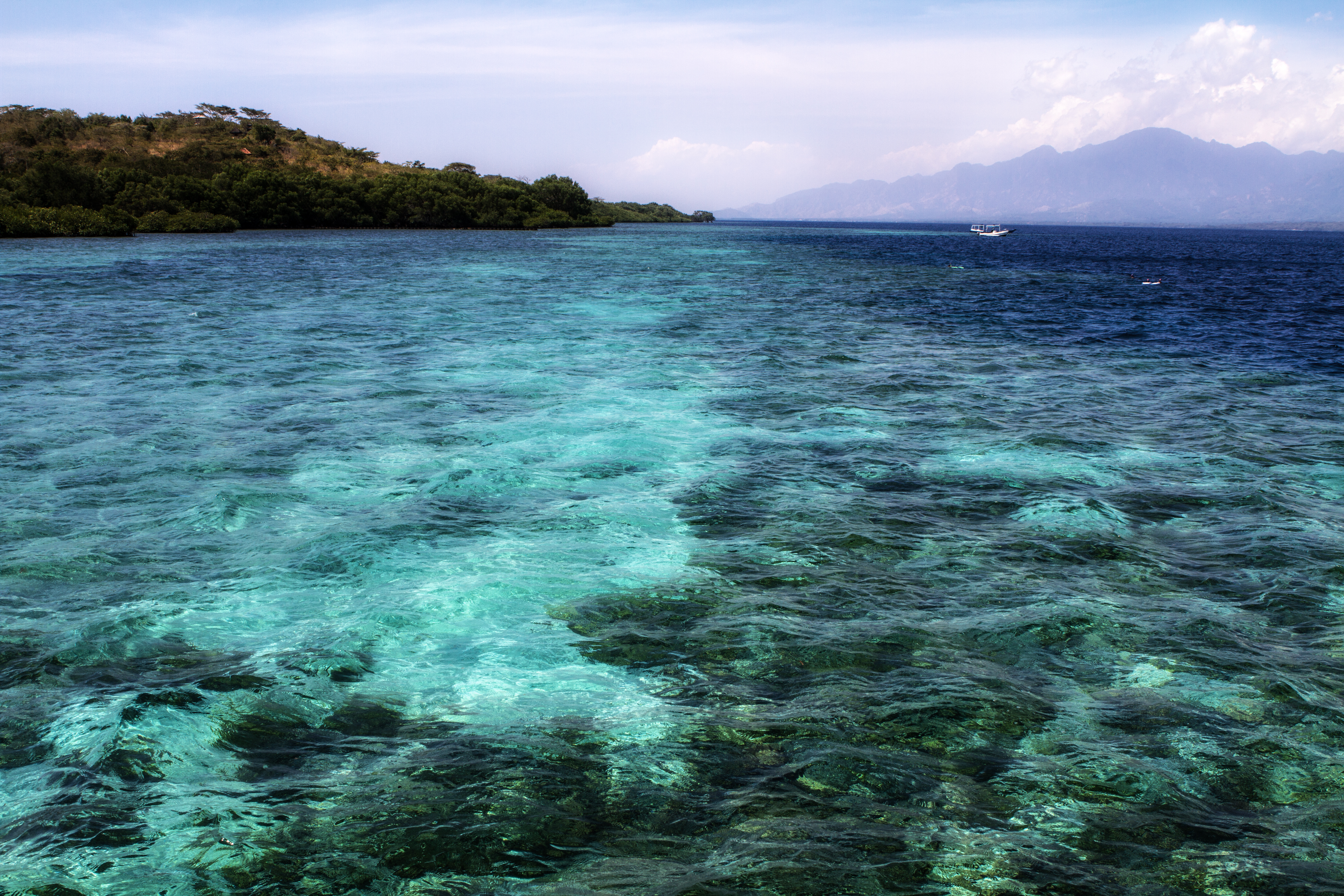 Coral Reef At Menjangan Island Bali Travel Indonesia , HD Wallpaper & Backgrounds