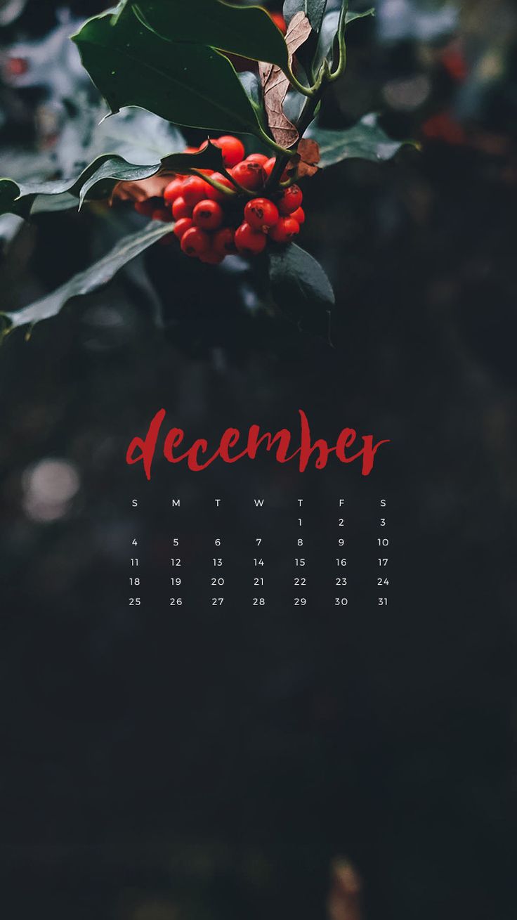December Iphone Wallpapers - Iphone Wallpaper December 2018 , HD Wallpaper & Backgrounds