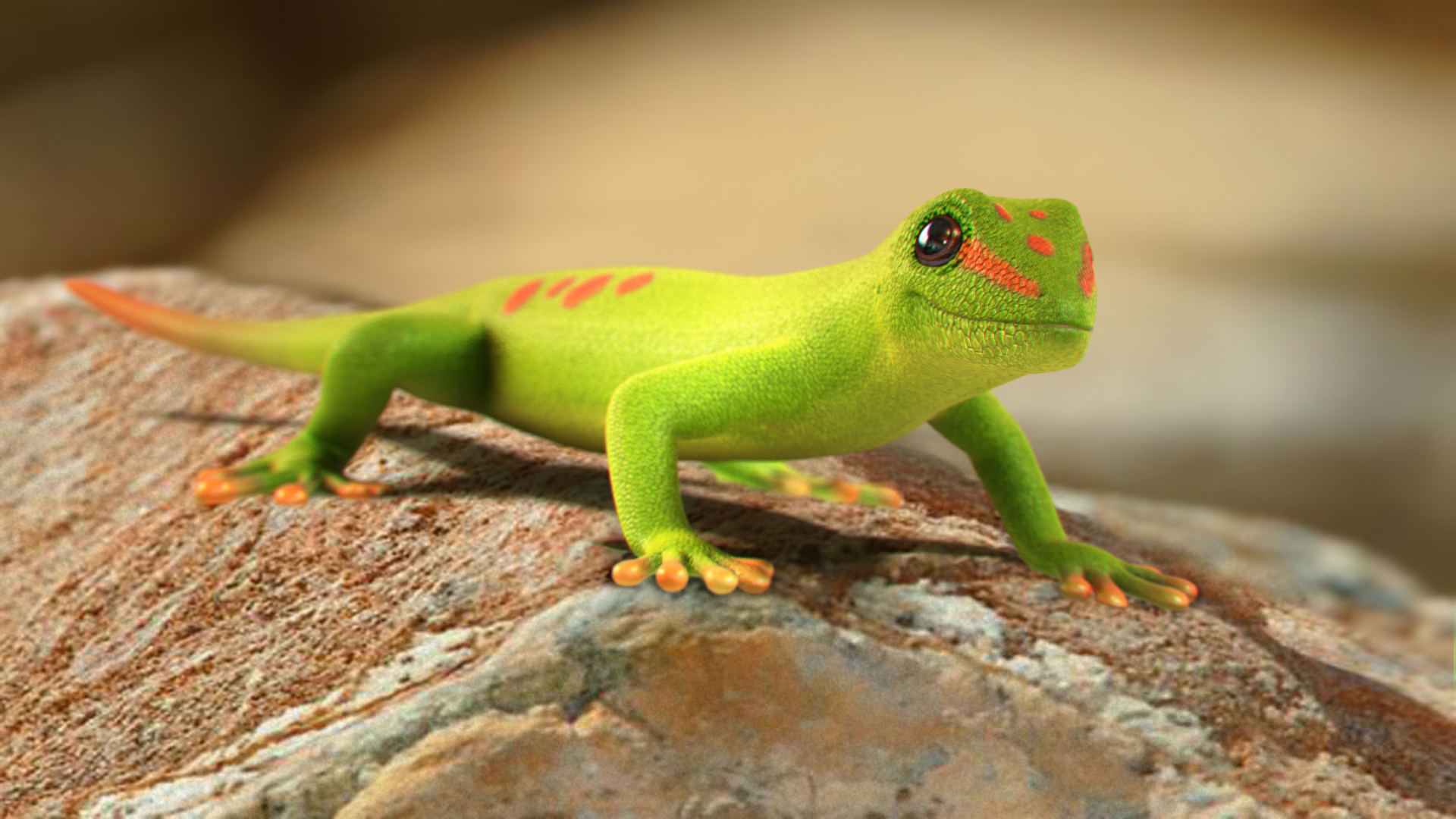 Gecko Widescreen Wallpapers - Gecko Hd , HD Wallpaper & Backgrounds