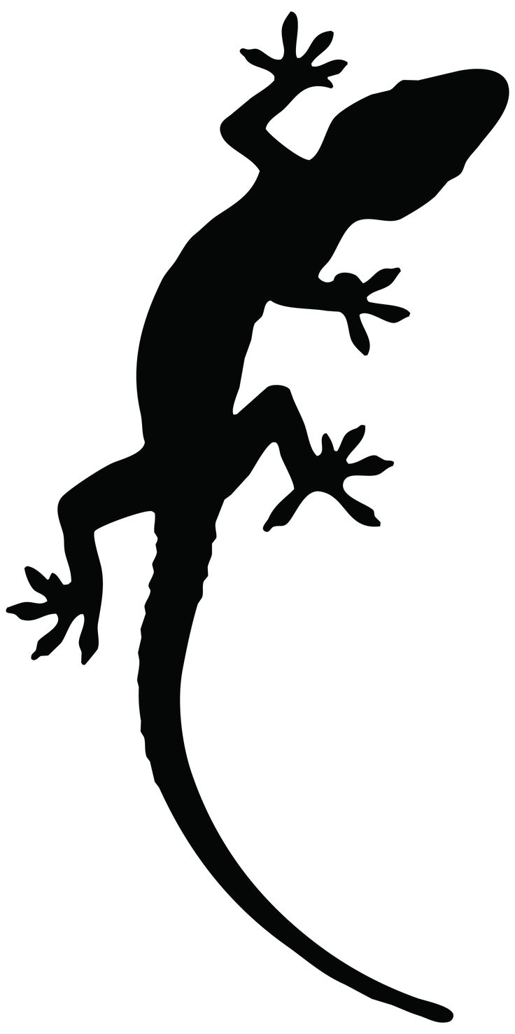 Lizard Clipart Geco - Black Lizard Cartoon , HD Wallpaper & Backgrounds