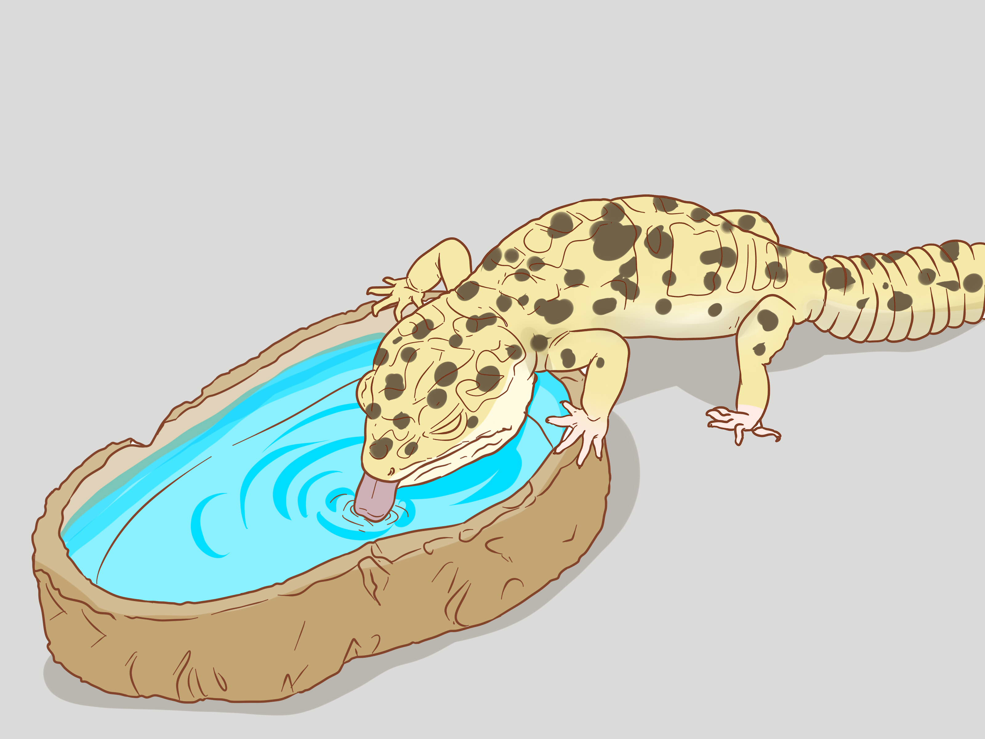 Lazy Gecko Patreon