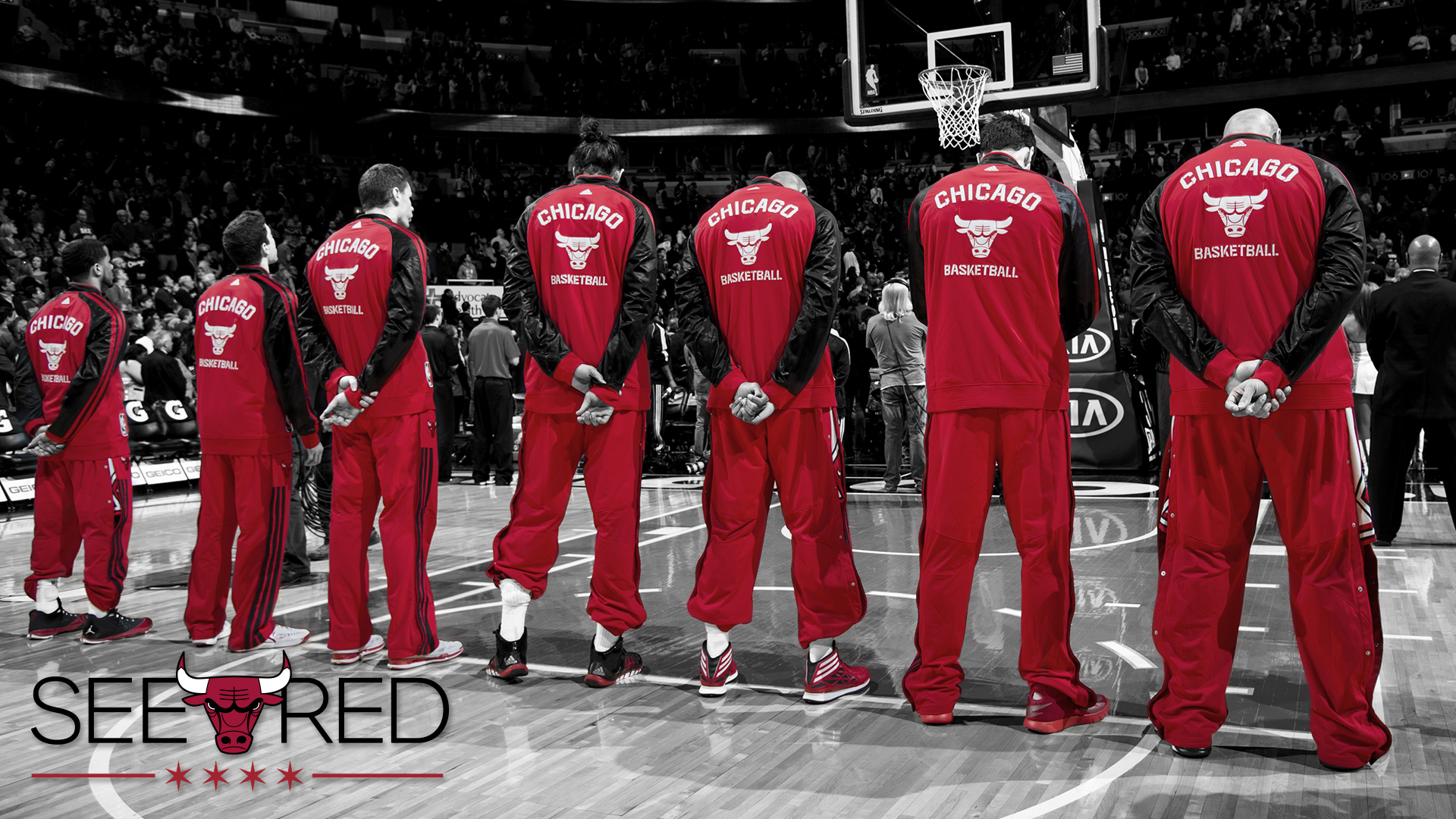Chicago Bulls Hd , HD Wallpaper & Backgrounds
