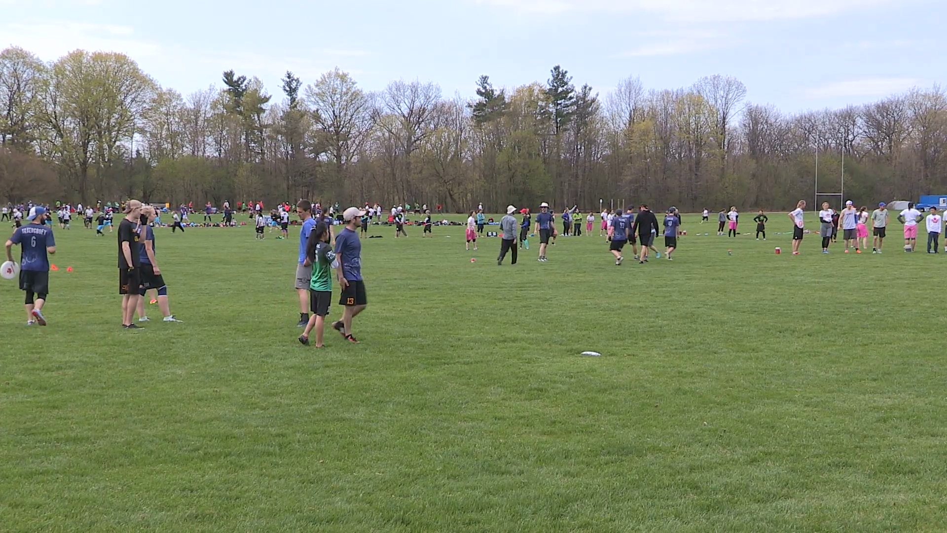 Teams Playing Competitive Ultimate Frisbee Sport In - Grass , HD Wallpaper & Backgrounds
