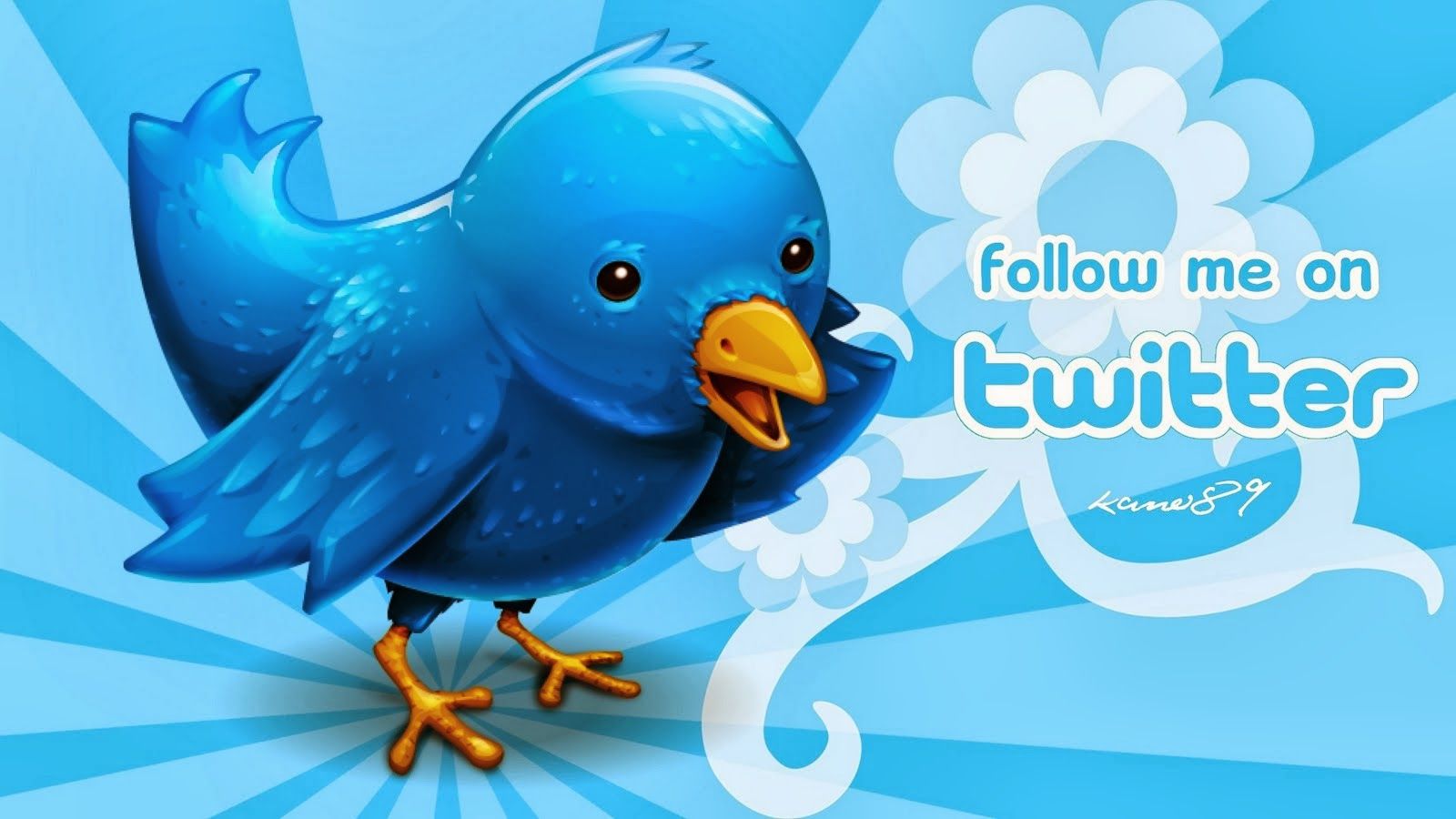 Twitter Hd Wallpapers - Background Wallpapers For Twitter , HD Wallpaper & Backgrounds