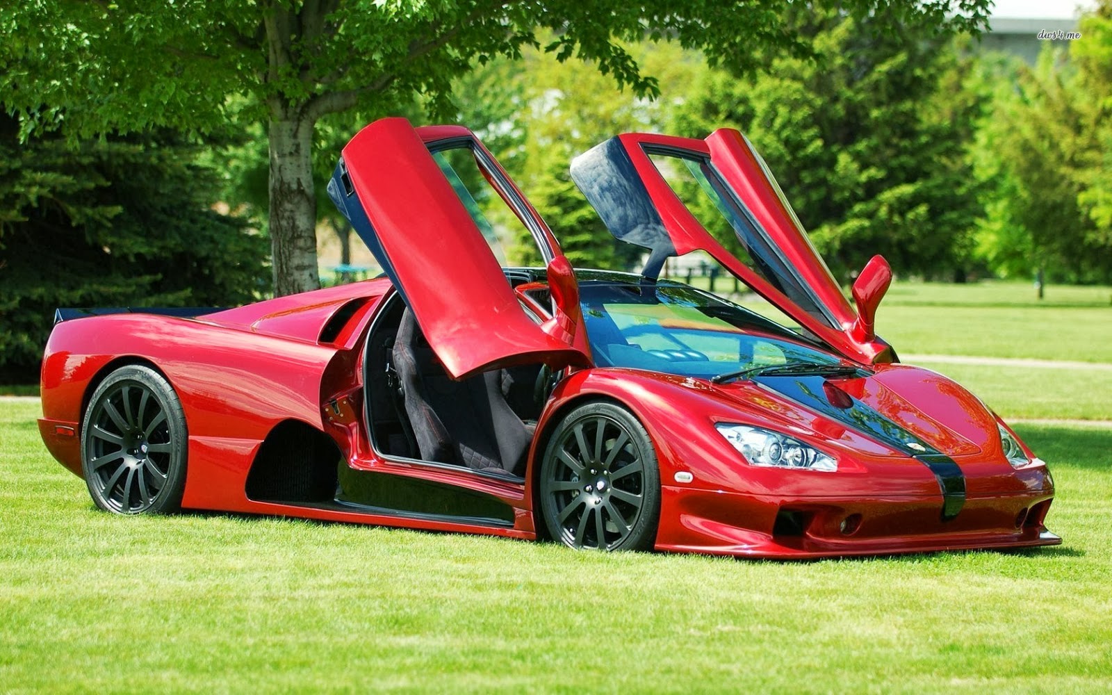 Ssc Ultimate Aero Wallpaper Hd - Shakib Al Hasan Home , HD Wallpaper & Backgrounds